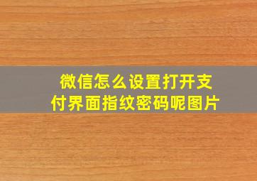 微信怎么设置打开支付界面指纹密码呢图片