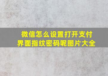 微信怎么设置打开支付界面指纹密码呢图片大全