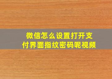 微信怎么设置打开支付界面指纹密码呢视频