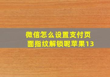 微信怎么设置支付页面指纹解锁呢苹果13