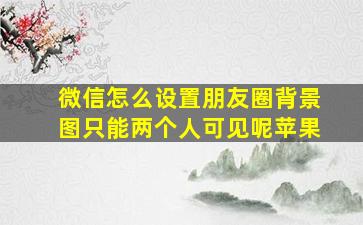 微信怎么设置朋友圈背景图只能两个人可见呢苹果