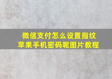 微信支付怎么设置指纹苹果手机密码呢图片教程