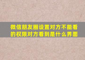 微信朋友圈设置对方不能看的权限对方看到是什么界面