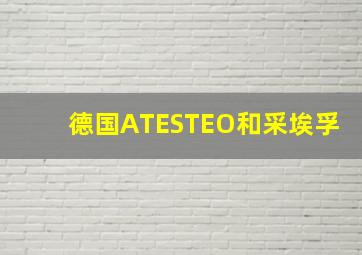 德国ATESTEO和采埃孚