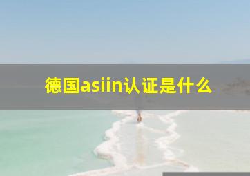 德国asiin认证是什么