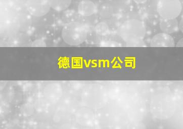 德国vsm公司