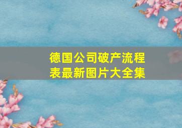 德国公司破产流程表最新图片大全集