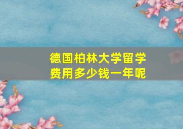 德国柏林大学留学费用多少钱一年呢