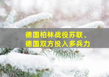 德国柏林战役苏联、德国双方投入多兵力