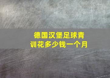 德国汉堡足球青训花多少钱一个月