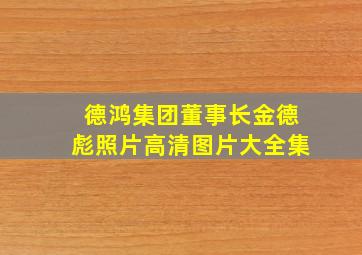 德鸿集团董事长金德彪照片高清图片大全集