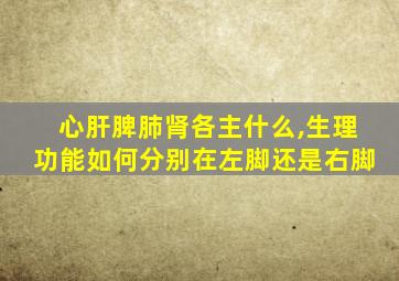 心肝脾肺肾各主什么,生理功能如何分别在左脚还是右脚