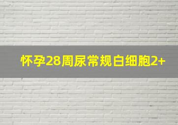 怀孕28周尿常规白细胞2+