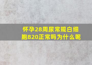 怀孕28周尿常规白细胞820正常吗为什么呢