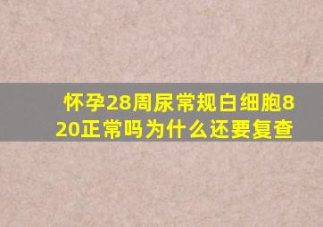 怀孕28周尿常规白细胞820正常吗为什么还要复查