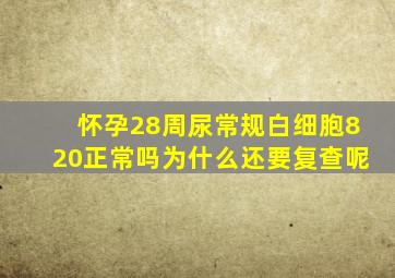 怀孕28周尿常规白细胞820正常吗为什么还要复查呢