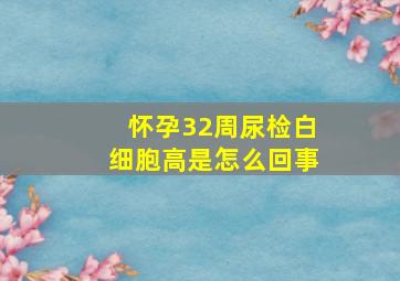 怀孕32周尿检白细胞高是怎么回事