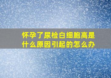 怀孕了尿检白细胞高是什么原因引起的怎么办