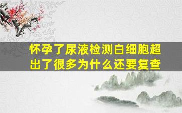 怀孕了尿液检测白细胞超出了很多为什么还要复查