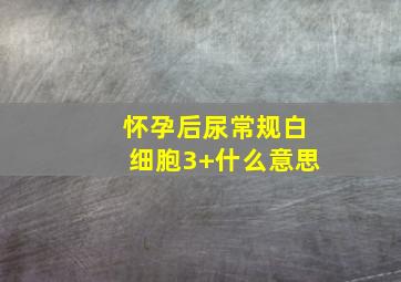 怀孕后尿常规白细胞3+什么意思