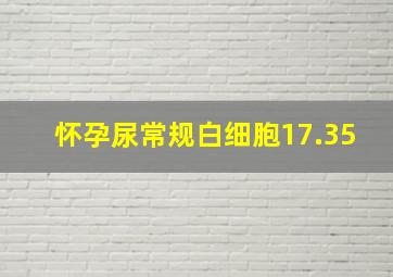 怀孕尿常规白细胞17.35