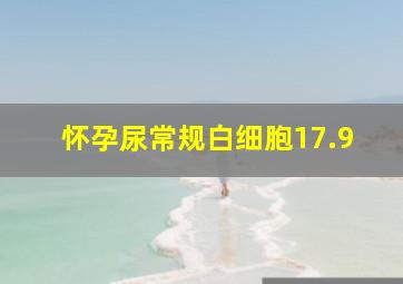 怀孕尿常规白细胞17.9