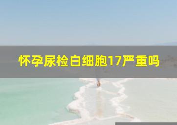 怀孕尿检白细胞17严重吗