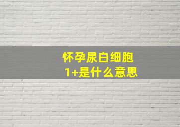 怀孕尿白细胞1+是什么意思