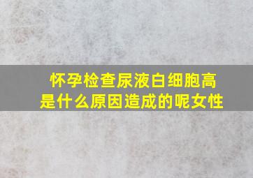 怀孕检查尿液白细胞高是什么原因造成的呢女性