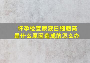 怀孕检查尿液白细胞高是什么原因造成的怎么办