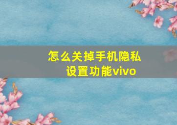 怎么关掉手机隐私设置功能vivo