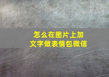 怎么在图片上加文字做表情包微信