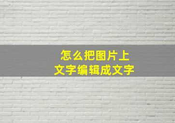 怎么把图片上文字编辑成文字