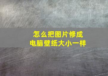 怎么把图片修成电脑壁纸大小一样