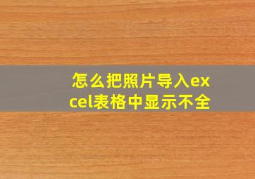 怎么把照片导入excel表格中显示不全