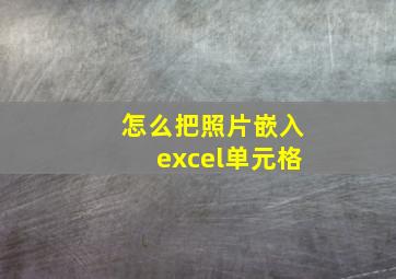 怎么把照片嵌入excel单元格