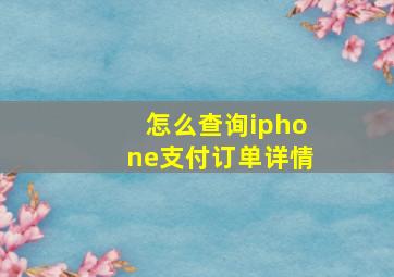 怎么查询iphone支付订单详情