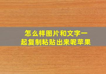 怎么样图片和文字一起复制粘贴出来呢苹果