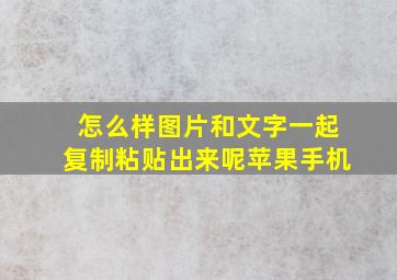 怎么样图片和文字一起复制粘贴出来呢苹果手机