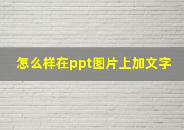 怎么样在ppt图片上加文字