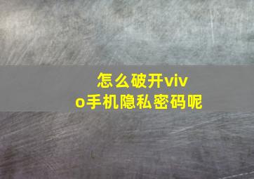 怎么破开vivo手机隐私密码呢