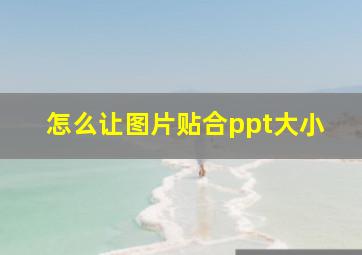 怎么让图片贴合ppt大小