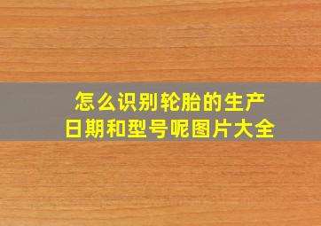 怎么识别轮胎的生产日期和型号呢图片大全