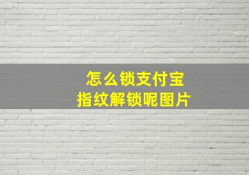 怎么锁支付宝指纹解锁呢图片