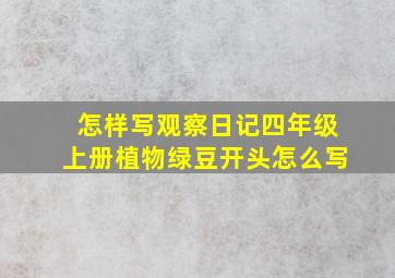 怎样写观察日记四年级上册植物绿豆开头怎么写