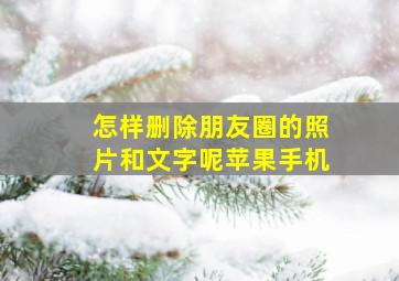 怎样删除朋友圈的照片和文字呢苹果手机