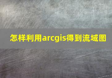 怎样利用arcgis得到流域图