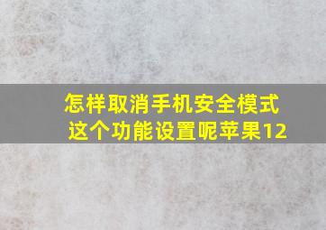 怎样取消手机安全模式这个功能设置呢苹果12