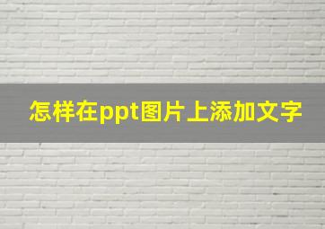 怎样在ppt图片上添加文字