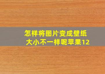 怎样将图片变成壁纸大小不一样呢苹果12